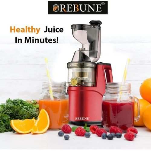 Rebune Heavy Commercial Slow Juicer Juice Extractor Machine
