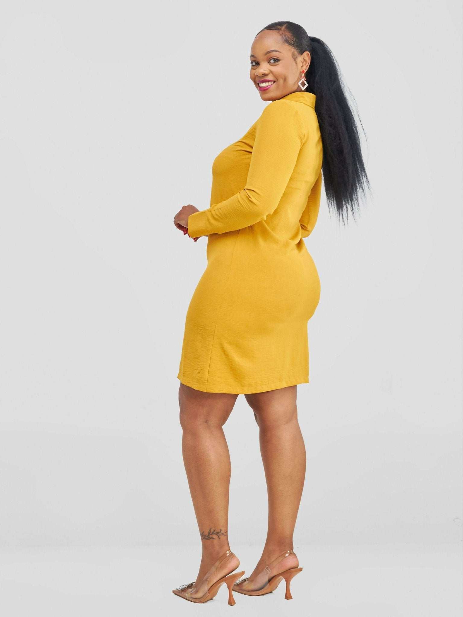 Bishop Dress - Mustard - image 1